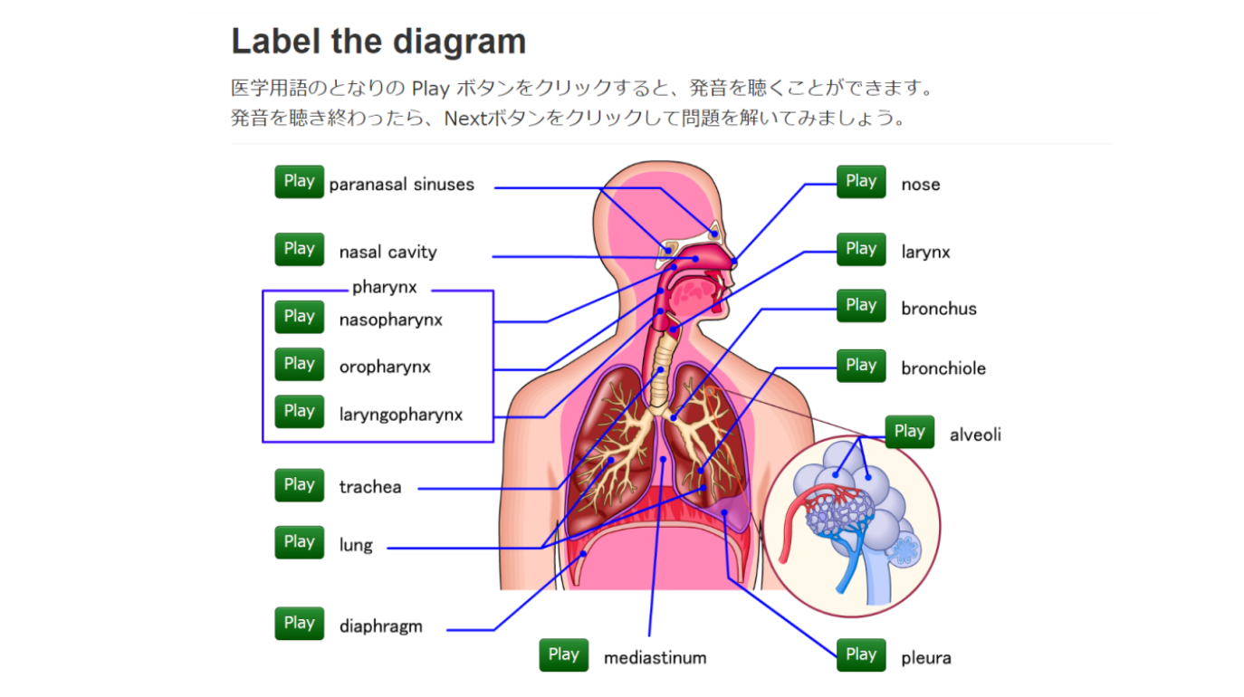 医学語彙講座